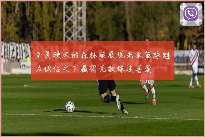 全员硬汉的森林狼展现老派篮球魅力低估之下赢得无数球迷喜爱