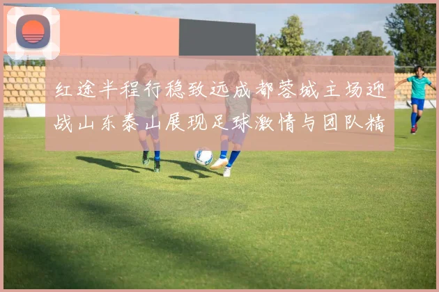 红途半程行稳致远成都蓉城主场迎战山东泰山展现足球激情与团队精神