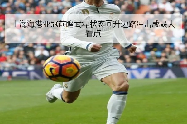 上海海港亚冠前瞻武磊状态回升边路冲击成最大看点 | Leyu